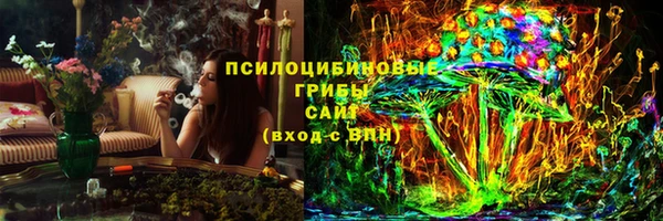 эйфоретик Елабуга
