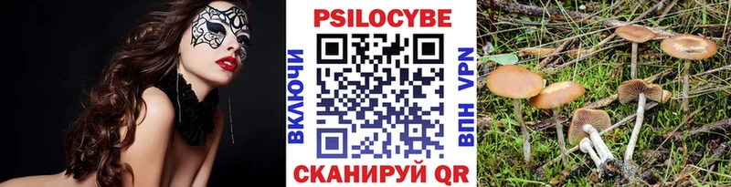 Псилоцибиновые грибы Psilocybe  Пермь 
