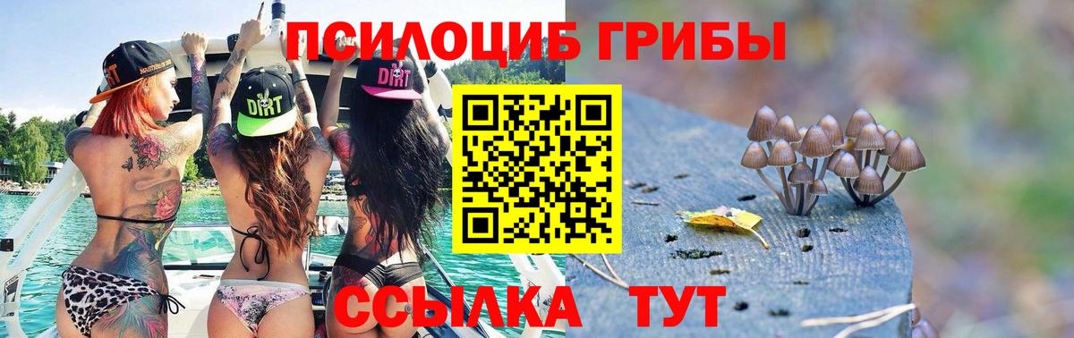 Пермь  Галлюциногенные грибы прущие грибы  Вход с VPN 